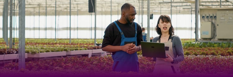 How to Optimise B2B Sales for Perishable Goods: A Field Sales Guide